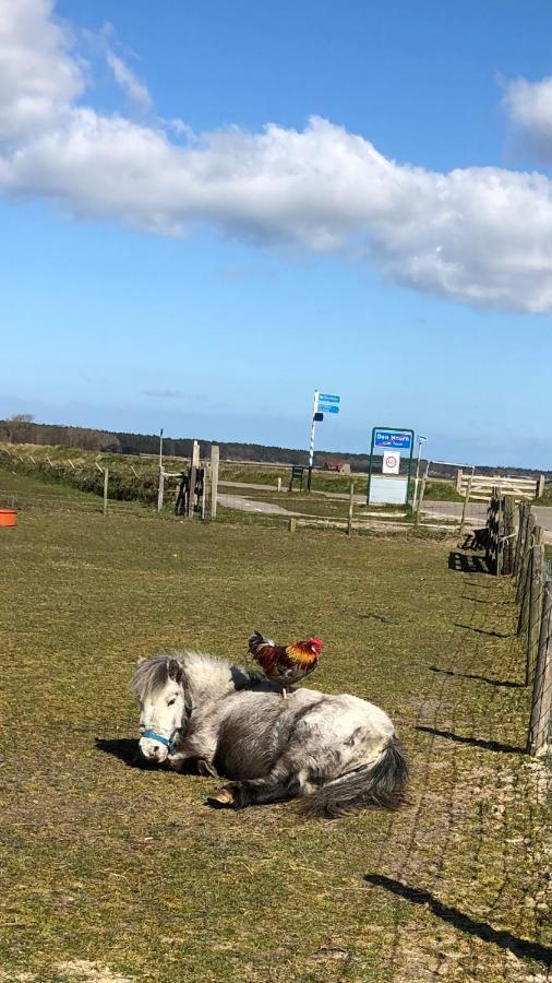 Duinhotel Texel デ・コーフ エクステリア 写真